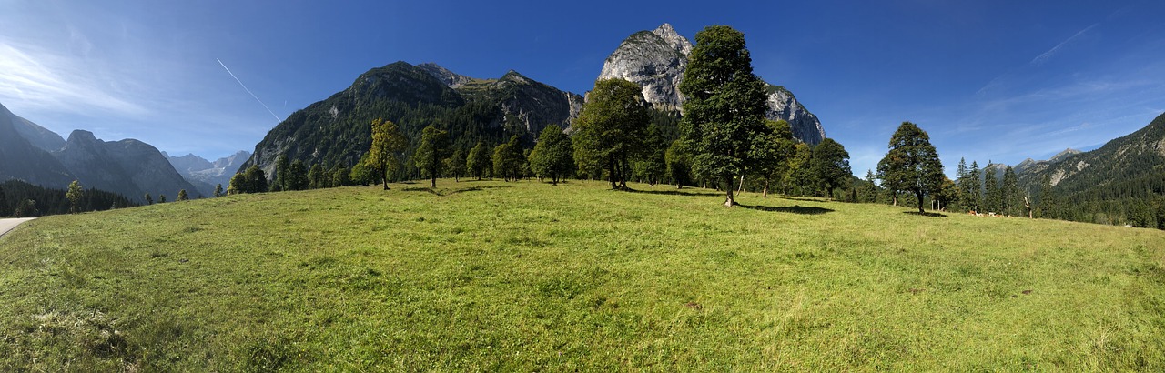 Sol En Érable La Nature Engloutir - Photo gratuite sur Pixabay - Pixabay