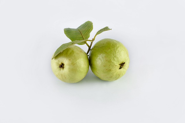 Free Guava Fruit photo and picture