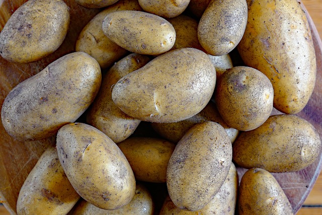 Free Potatoes Vegetables photo and picture