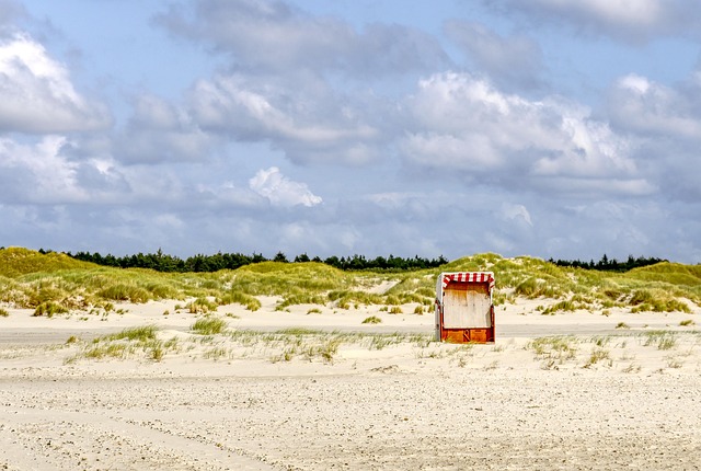 Free Beach Chair Beach photo and picture