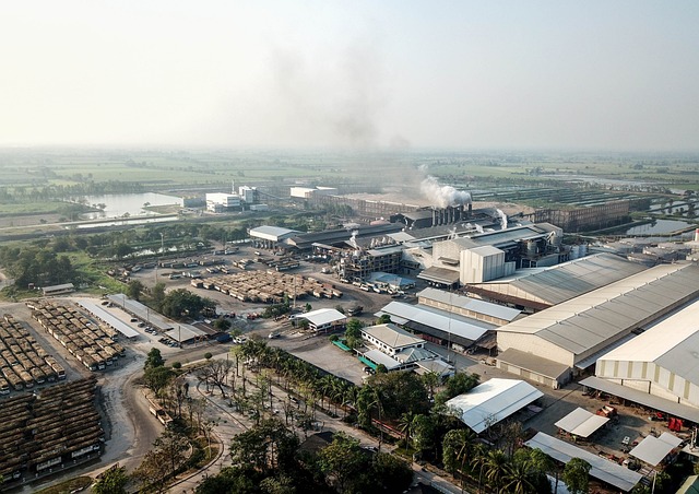 Free Sugarcane Agriculture photo and picture