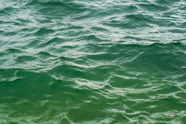 Agua, Fundo, Superfície, Verde, Natureza