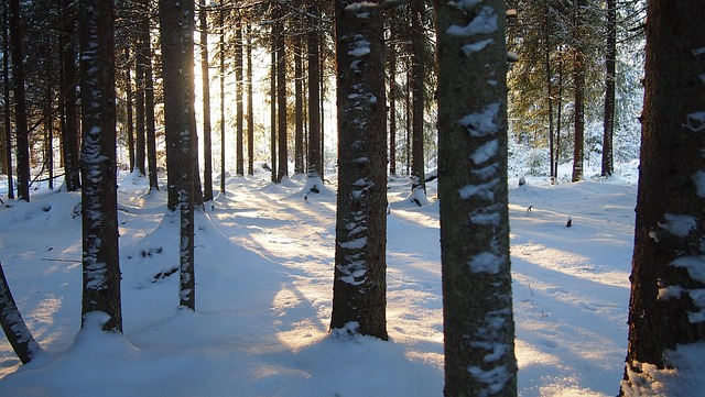Finland, Natur, Vinter