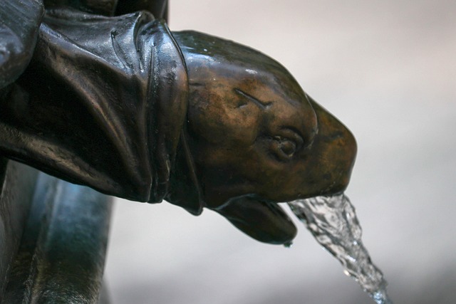 Free Fountain Water photo and picture