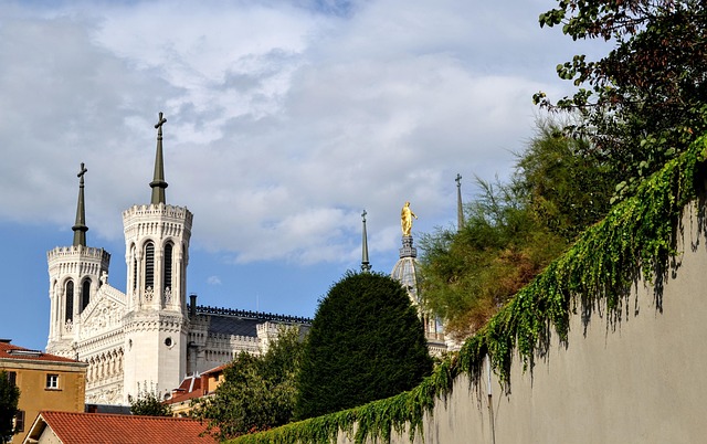 Free Lyon Basilica photo and picture
