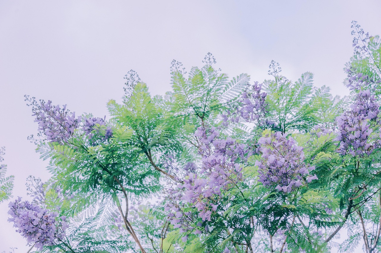 Travel - free online jigsaw puzzle photo