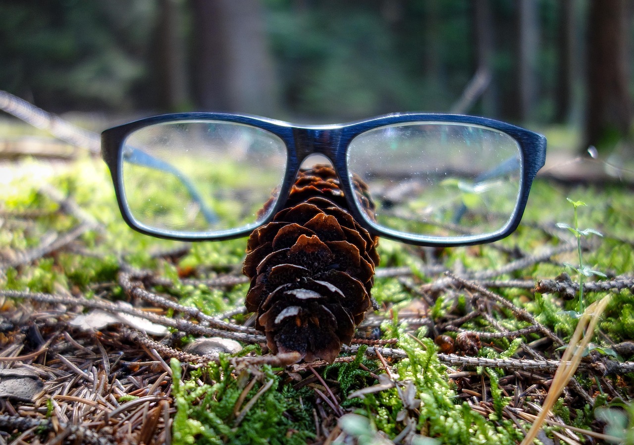 Présentoir Lunettes Mignon En Forme De Koala - Support Bureau Ou Maison En Résine - Déco Pratique Pour Lunettes De Vue Ou Soleil
