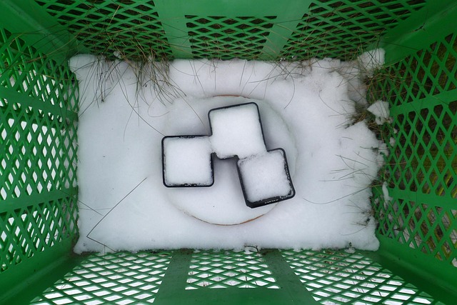 Free Winter Basket photo and picture