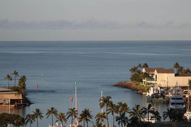 Free Harbor Boats photo and picture