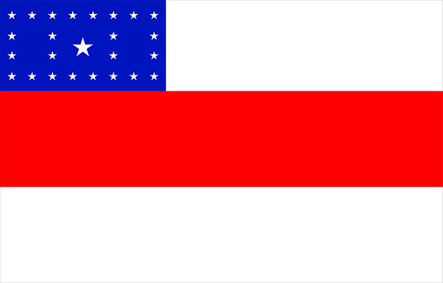 Free flag state amazons illustration
