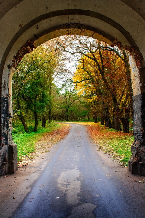 Nature Loading Nature Autumn Landscape The - Free photo on Pixabay - Pixabay