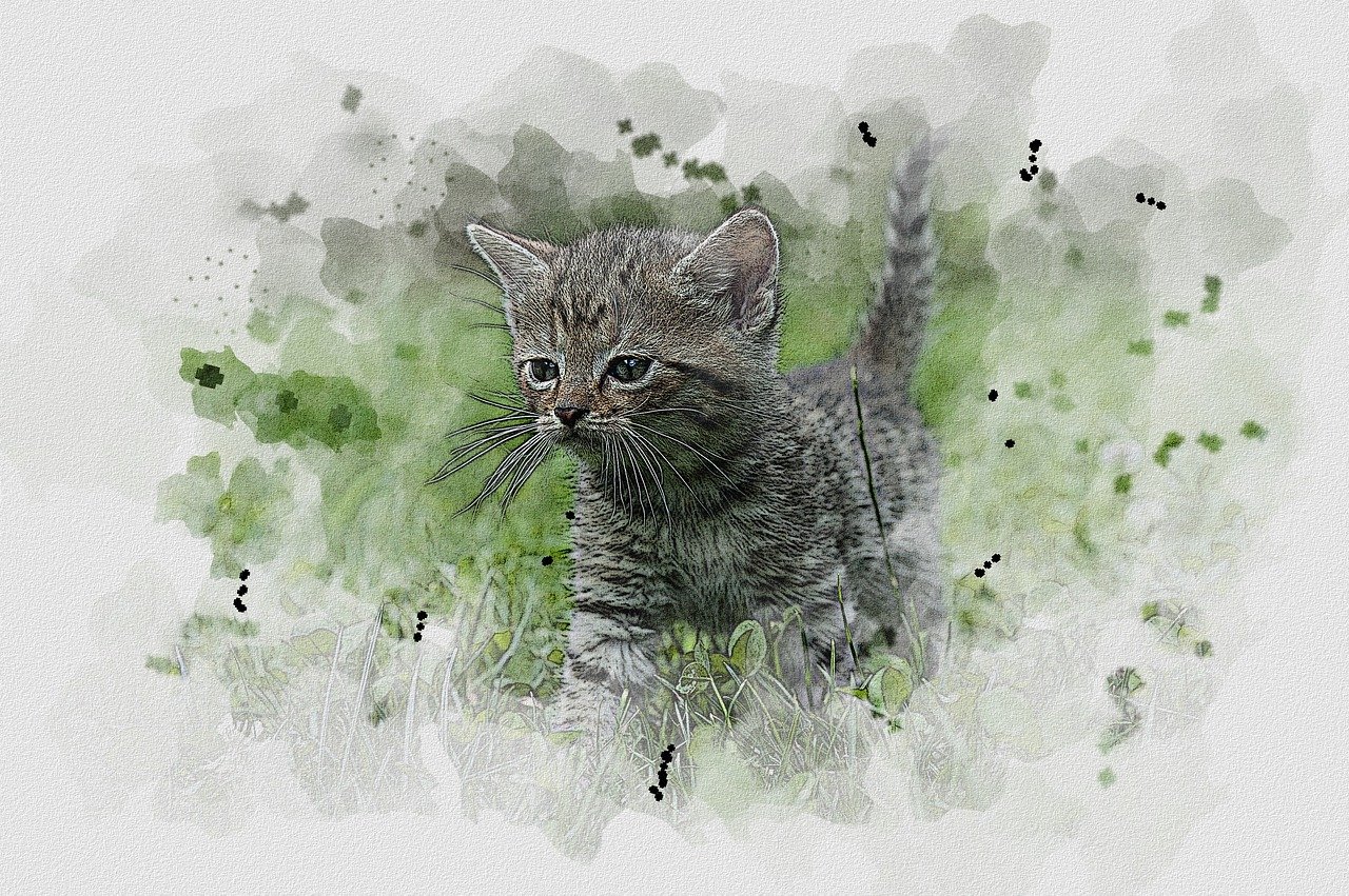 Cat Air, Menggambar, Lukisan, Aquarelle