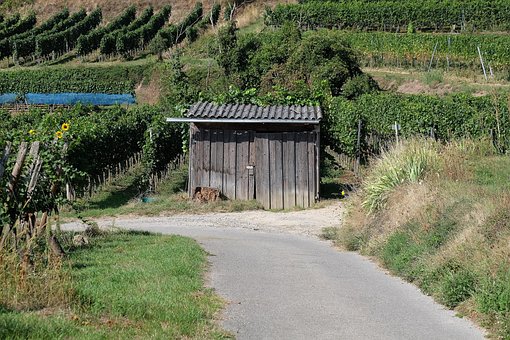 Træhytte, Landskab, Natur, Vinstokke