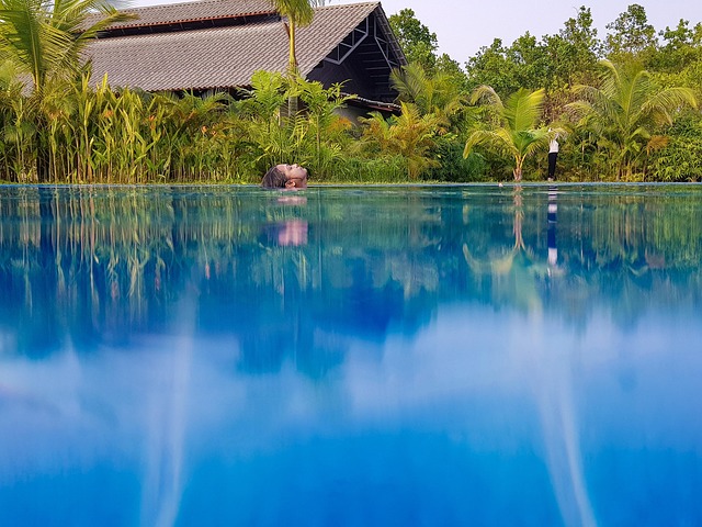 Free Peace Swim photo and picture