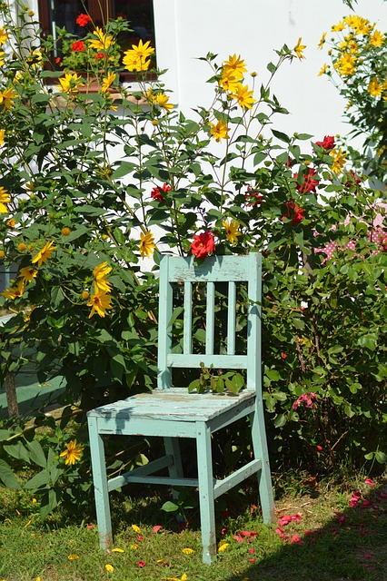 Silla, Colores, Flor, Flores, Región