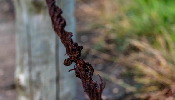 Kabel, Eisen, Seil, Verrostet