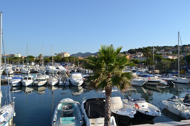 Free Buildings Port photo and picture
