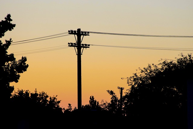 Free Support Wire photo and picture