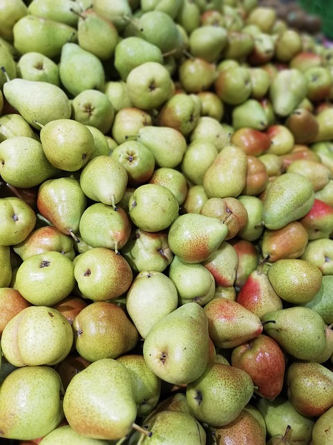 Antecedentes, Bayas, Baya, Moras, Mora