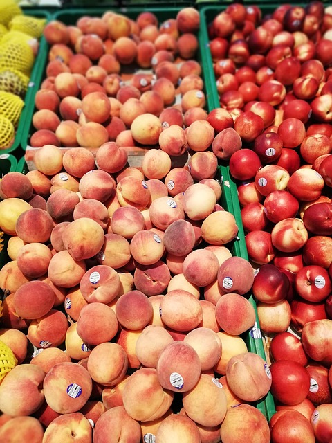 Antecedentes, Bayas, Baya, Moras, Mora