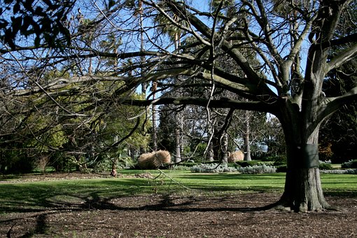Free Park Garden photo and picture