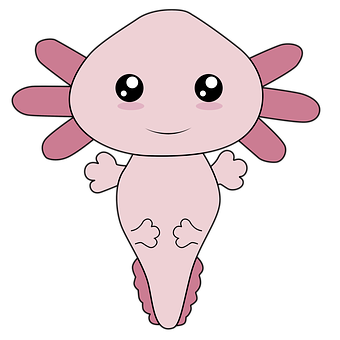 Axolotl Das In Der Lage Kawaii