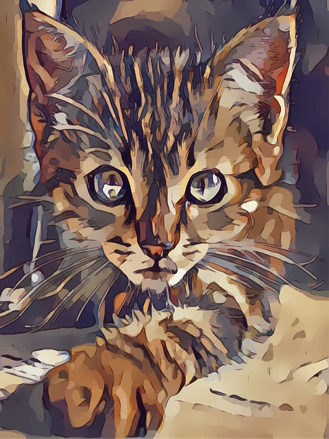 Free kitty kitten pet vector