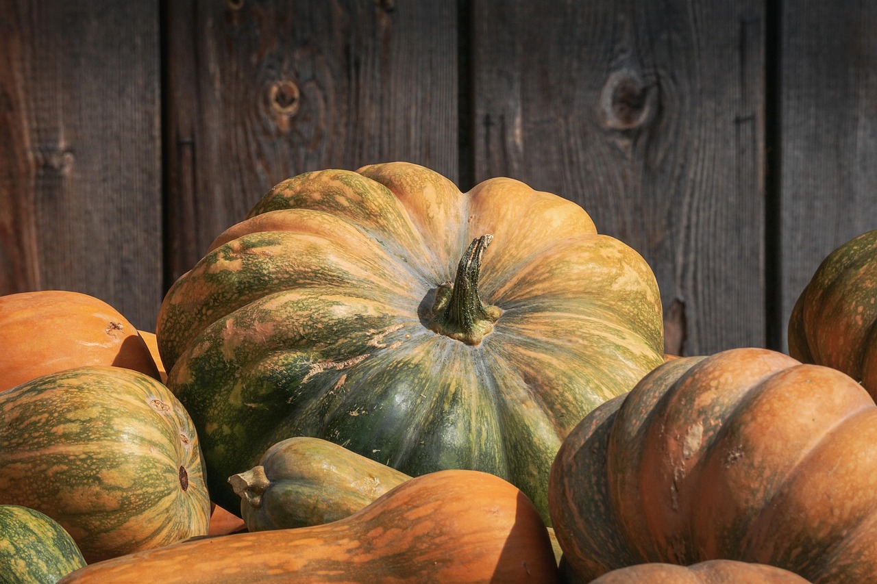 Pumpkin - free online jigsaw puzzle photo