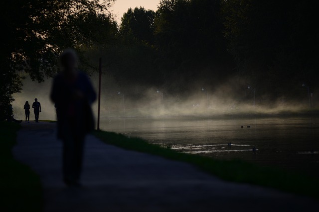 Free Autumn Fog photo and picture