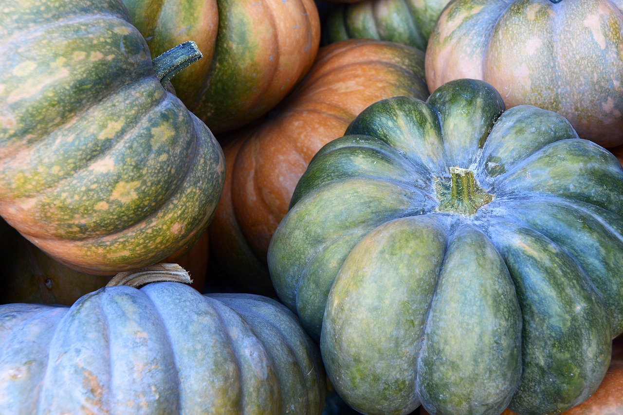 Pumpkin - free online jigsaw puzzle photo