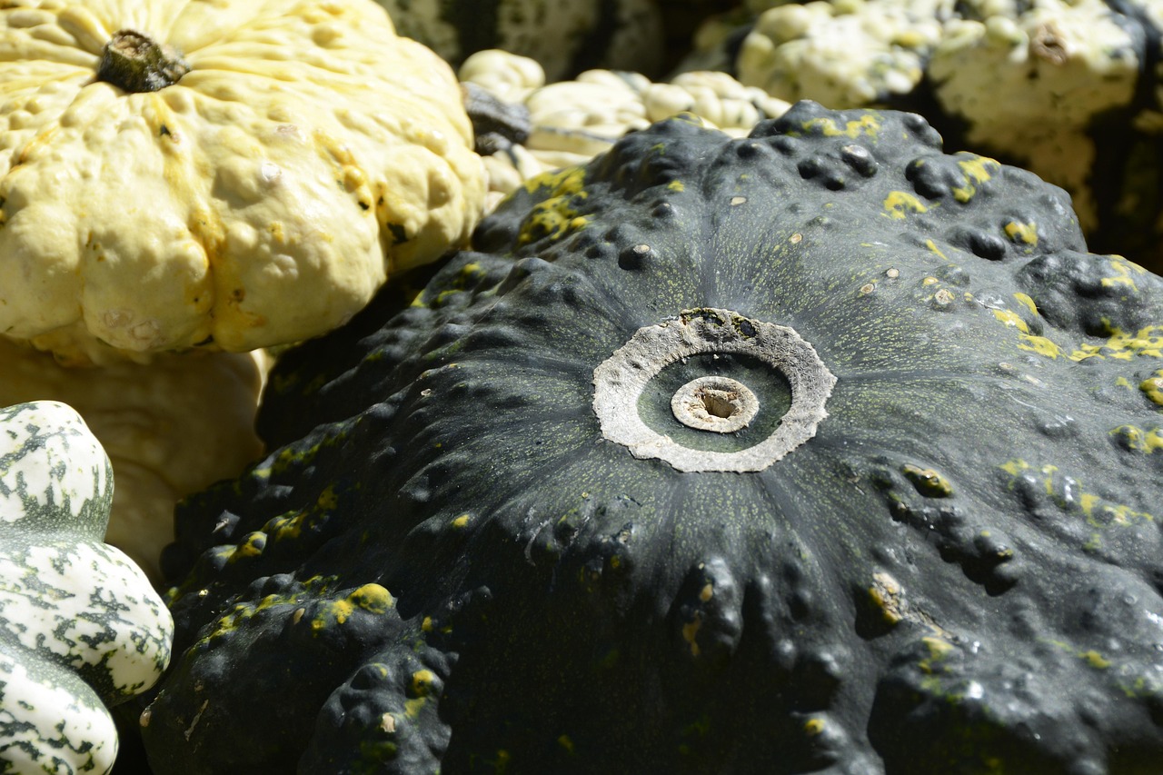 Pumpkin - free online jigsaw puzzle photo