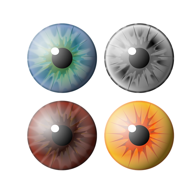 Free eye pupil iris illustration