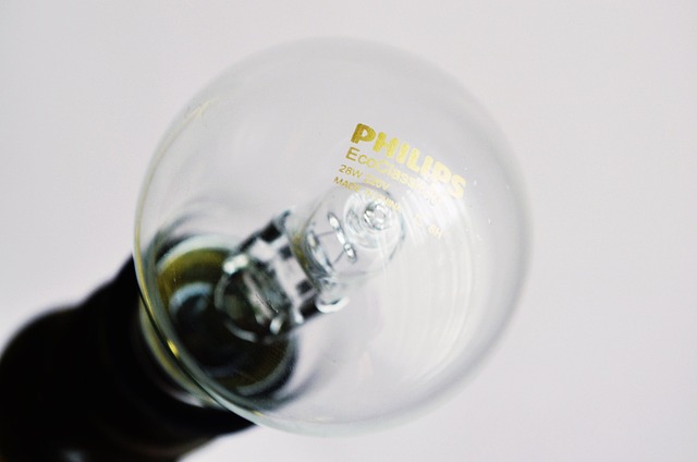 Free Light Light Bulb photo and picture