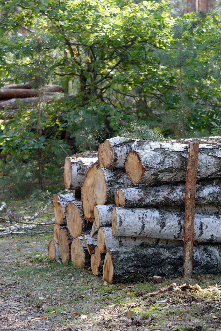 Madera Bale Recorte - Foto gratis en Pixabay - Pixabay
