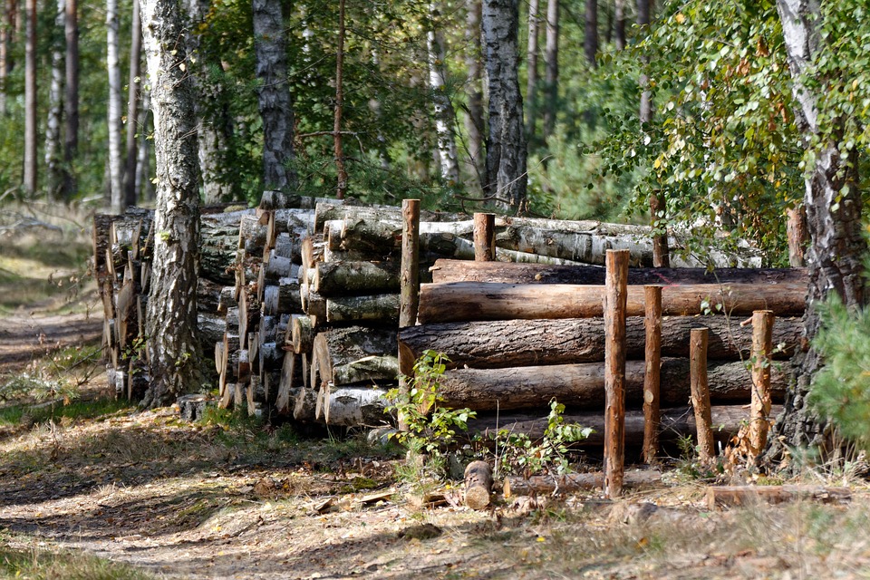 Madera Bale Recorte - Foto gratis en Pixabay
