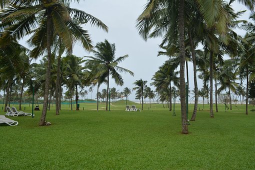 Free Golf Course Beach photo and picture