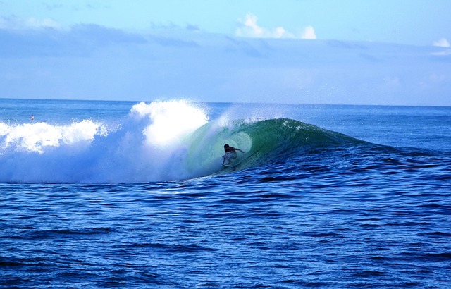 Free Surfing Waikiki photo and picture
