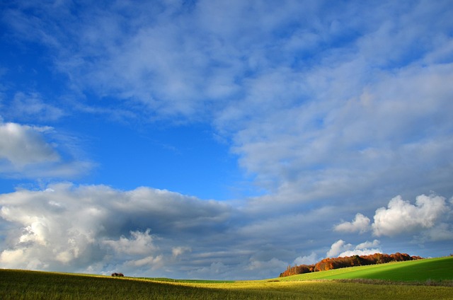 Free Field Landscape photo and picture