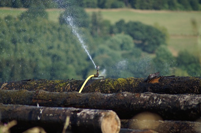 Free Sawmill Wood Trunks photo and picture