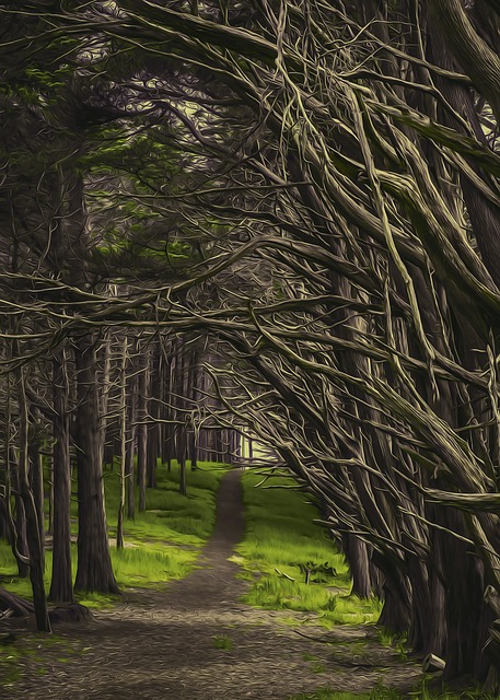 Free trees alley plant illustration