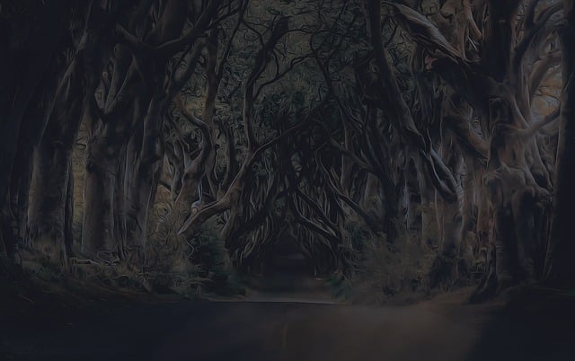 Free trees road landscape illustration