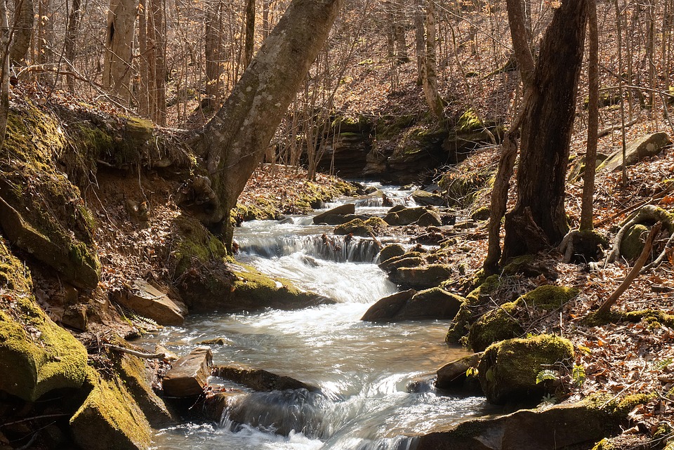 River Stream Nature - Free photo on Pixabay