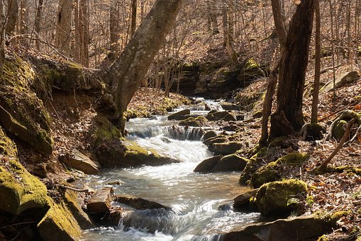Elv, Creek, Natur, Landskap, Vann