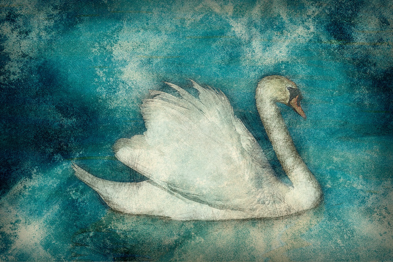 70 + 무료 백조 그림] & 백조 이미지 - Pixabay