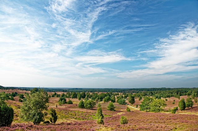 Free Germany Lüneburg Heath photo and picture
