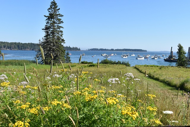 Free Owls Head Maine photo and picture