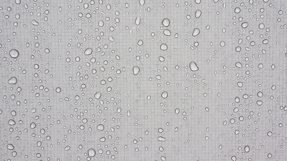 Trickle Dew Wet - Free photo on Pixabay