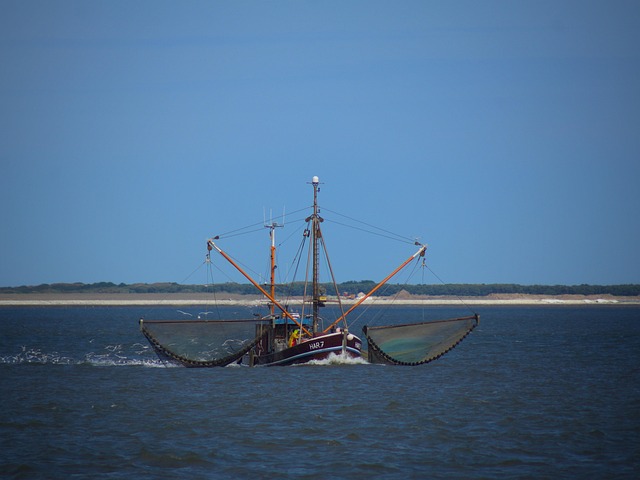 Nordsee, Fisch, Fischer, Meer, Fischfang