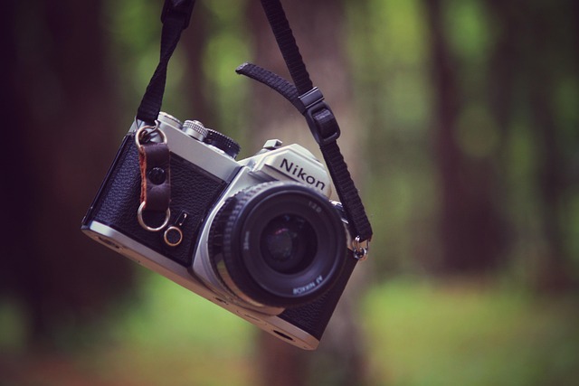 Free Female Retro photo and picture