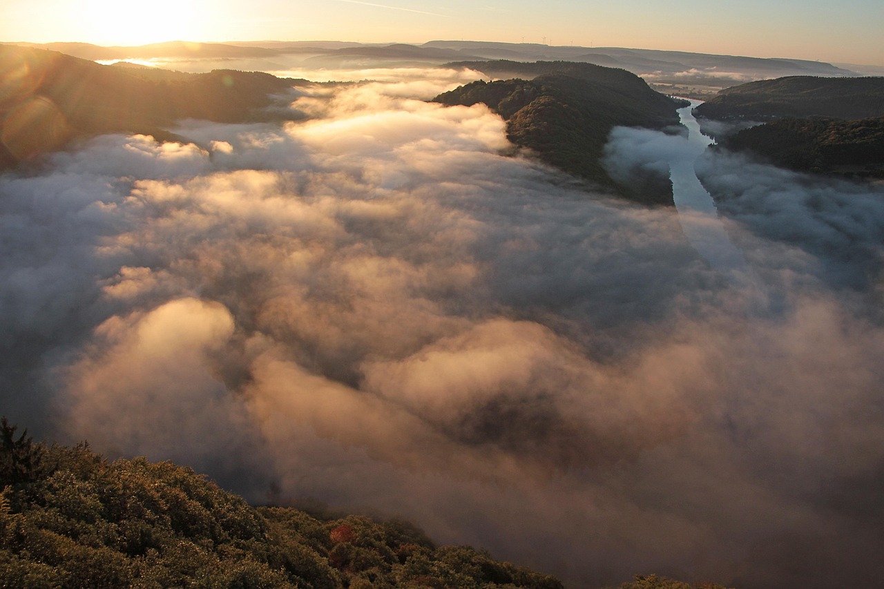 안개 아침 자연 - Pixabay의 무료 사진 - Pixabay